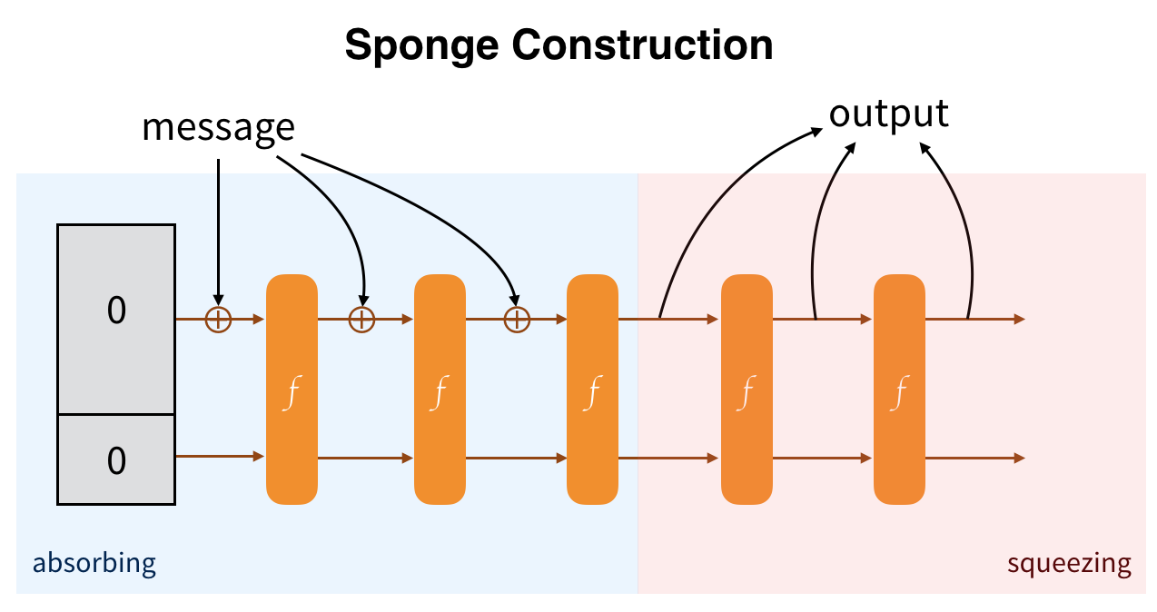 sponge